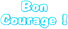 Messages French Bon Courage 04 