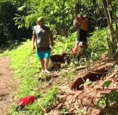 Umorismo -  Fun PERSONE Come Tarzan Fail 