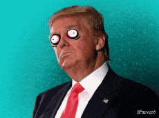 Humour - Fun PERSONNAGES Politique - International Donald Trump 