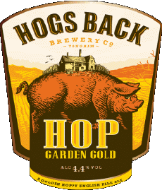 Getränke Bier UK Hogs Back 