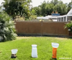 Humour - Fun PERSONNAGES Acrobatie Divers Fun Win 02 