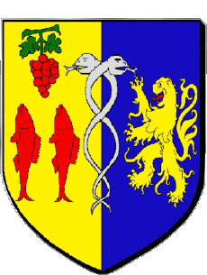 Blasone-Bandiere Francia Dipartimenti - Città 30 LE GRAU DU ROI Blasone