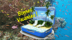 Nachrichten Französisch Bonnes Vacances Animierter Hintergrund 005 