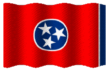 Bandiere America U.S.A - Stati Tennessee Sventola 