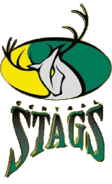 Sports Cricket New Zealand Central Stags 