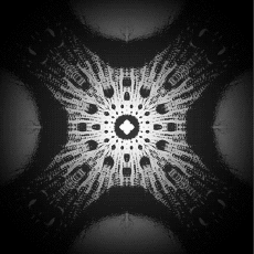 Humor -  Fun GIF Künstler Connor Bell 