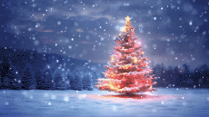 Nachrichten Spanisch Feliz Navidad Video 