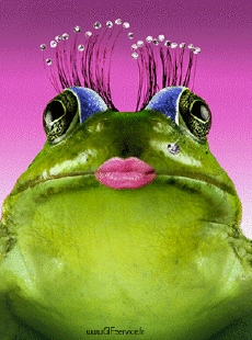 Humor - Fun Animales Ranas 01 