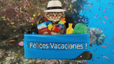 Messages Spanish Felices Vacaciones Animated Background 005 