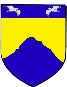 Bandiere Francia Dipartimenti - Città 972 LE MORNE ROUGE 