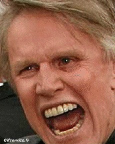 Gary Busey-Humor -  Fun Morphing - Look Like People - Vip People Series 02 