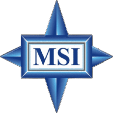 Multi Media Computer - Hardware M S I 