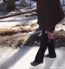 Humour - Fun PERSONNAGES Sur La Glace Gamelles Fail 