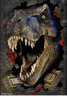 Humor -  Fun 3d Effekte Stéreoscopique Wiggle 