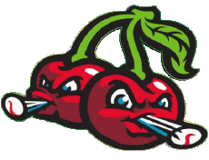 Deportes Béisbol U.S.A - Northwoods League Traverse City Pit Spitters 