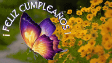Mensajes Español Feliz Cumpleaños Mariposas Fondo animado 004 