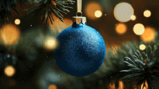 Messages Anglais Season's Greetings Video 