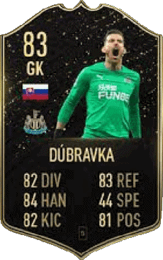 Multi Média Jeux Vidéo F I F A - Joueurs Cartes Slovaquie Martin Dúbravka 