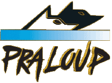 Sport Skigebiete Frankreich Südalpen Pra Loup 