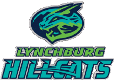 Deportes Béisbol U.S.A - Carolina League Lynchburg Hillcats 