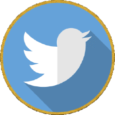 Multi Média Informatique - Internet Twitter 
