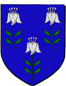 Banderas Francia Departamentos - Ciudades 94 ORMESSON SUR MARNE 