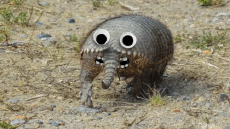 Humor -  Fun GIF Artists @Eclectech 