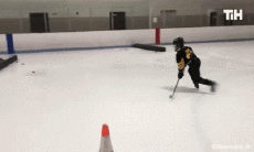 Umorismo -  Fun Sportivo Hockey Win Fun 