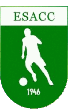 Sports Soccer Club France Centre-Val de Loire 28 - Eure-et-Loir Ent.S. Arrou Chatillon Courtalai 