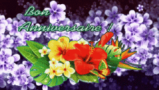 Messages French Bon Anniversaire Floral Animated Background 003 