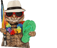 Messages French Bonnes Vacances Transparent Background 30 