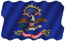 Fahnen Amerika U.S.A - States Dakota North Welligkeit 
