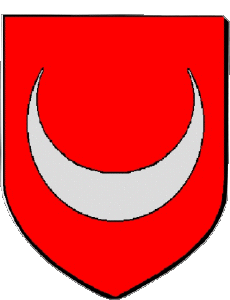 Banderas Francia Departamentos - Ciudades 39 MONTAIGU 