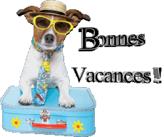 Messagi Francese Bonnes Vacances Sfondo trasparente 29 
