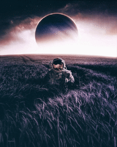 Humor -  Fun GIF Künstler THE GLITCH 