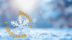 Messagi Inglese Season's Greetings Video 