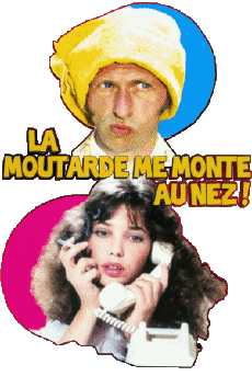 Multi Média Cinéma - France Pierre Richard La Moutarde me monte au nez 