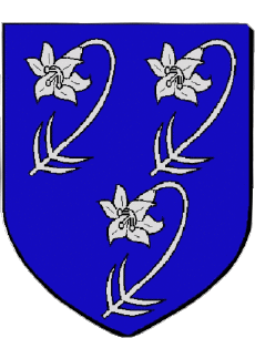 Blasone-Bandiere Francia Dipartimenti - Città 94 THIAIS 