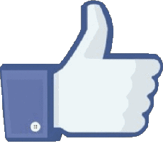 Multimedia Computer - Internet Facebook 