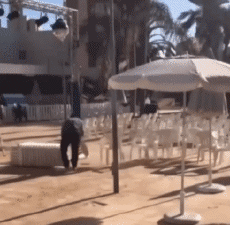 Humor -  Fun MENSCHEN Auf Arbeit Fun - Win 03 