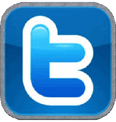 Multimedia Computadora - Internet Twitter 