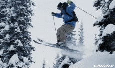 Humor -  Fun Sport Ski Free Ride Fun Win 
