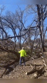 Humor -  Fun PEOPLE Lumberjack - Timber ! Fail 