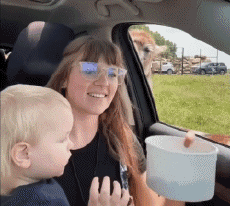 Humor -  Fun Tiere Lama 01 