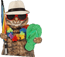 Mensajes Alemán Schöne Ferien Fondo transparente 30 