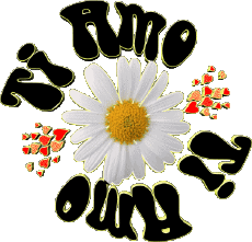 Nachrichten Italienisch Ti Amo 04 