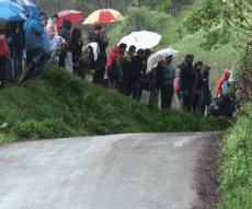 Humour - Fun Transports Voitures Rallye Fail Crash 