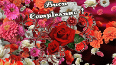 Messages Italien Buon Compleanno Floreale Fond Animé 004 