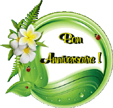 Messages Français Bon Anniversaire Floral Fond Transparent 011 