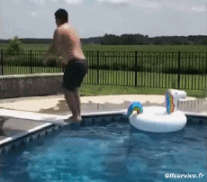 Humor -  Fun Sports Dive Falls - Fail 